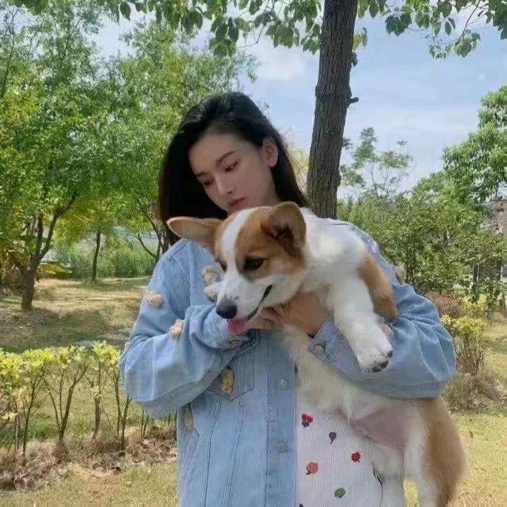 美丽的世界