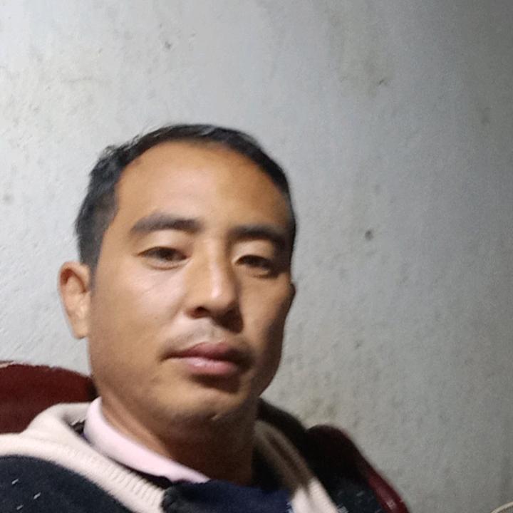 追球梦想