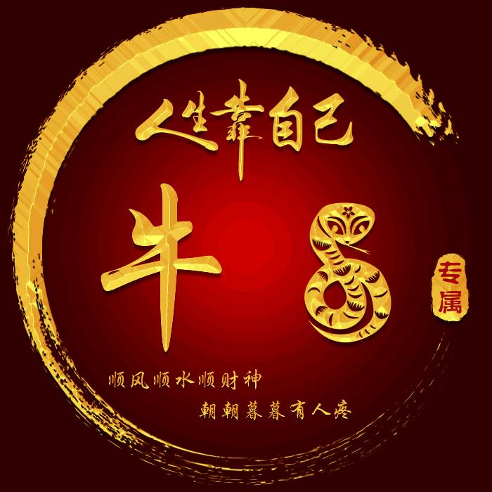 牛牛日常生活记录
