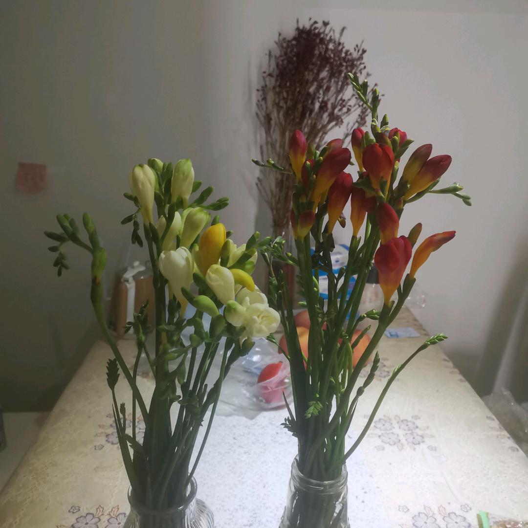 多啦a梦