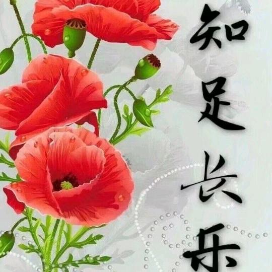 风雨阳光