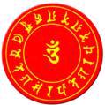鑫鑫！
