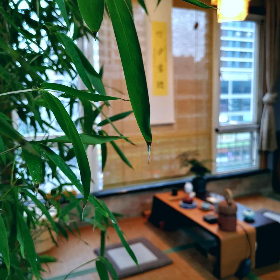 墨云盏生活