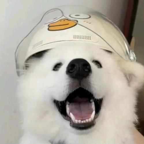 一勺芋泥酱