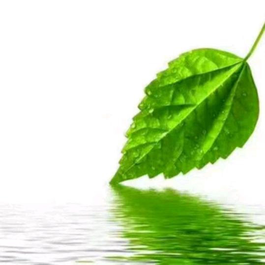 🕊贵在坚持🍃