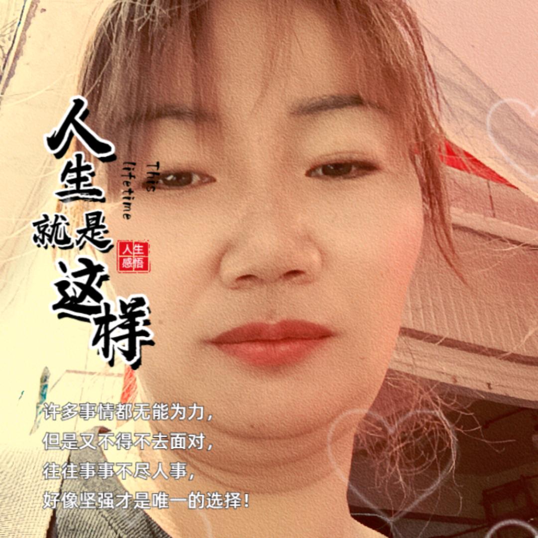 风若有情