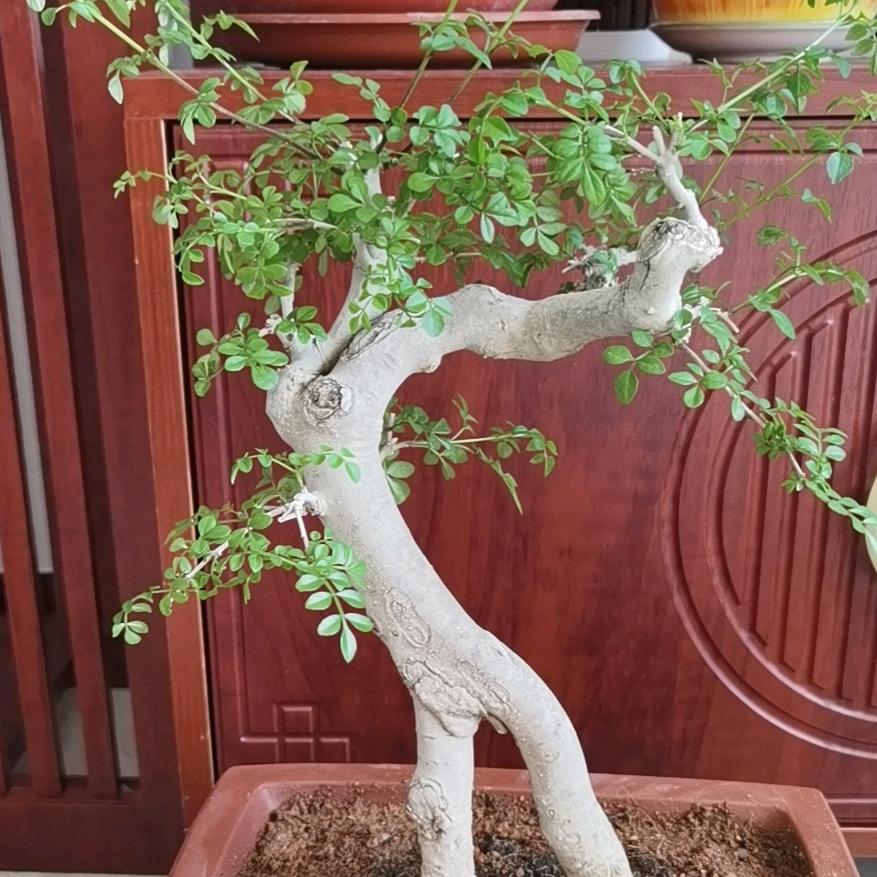 李亚南