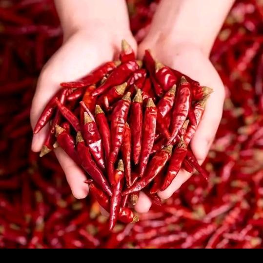 欣露远商贸商行