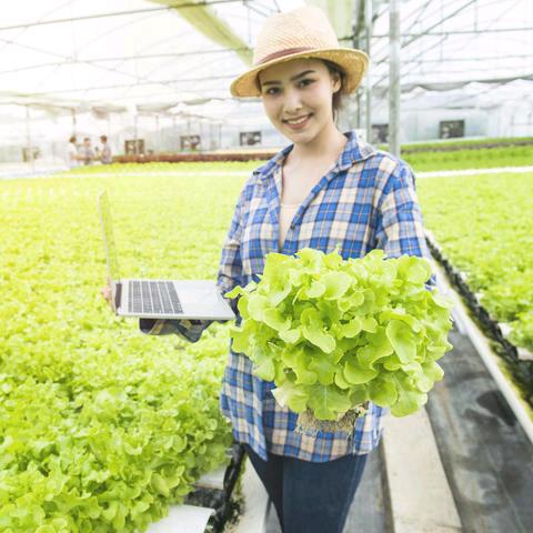 农业植保小常识-大美