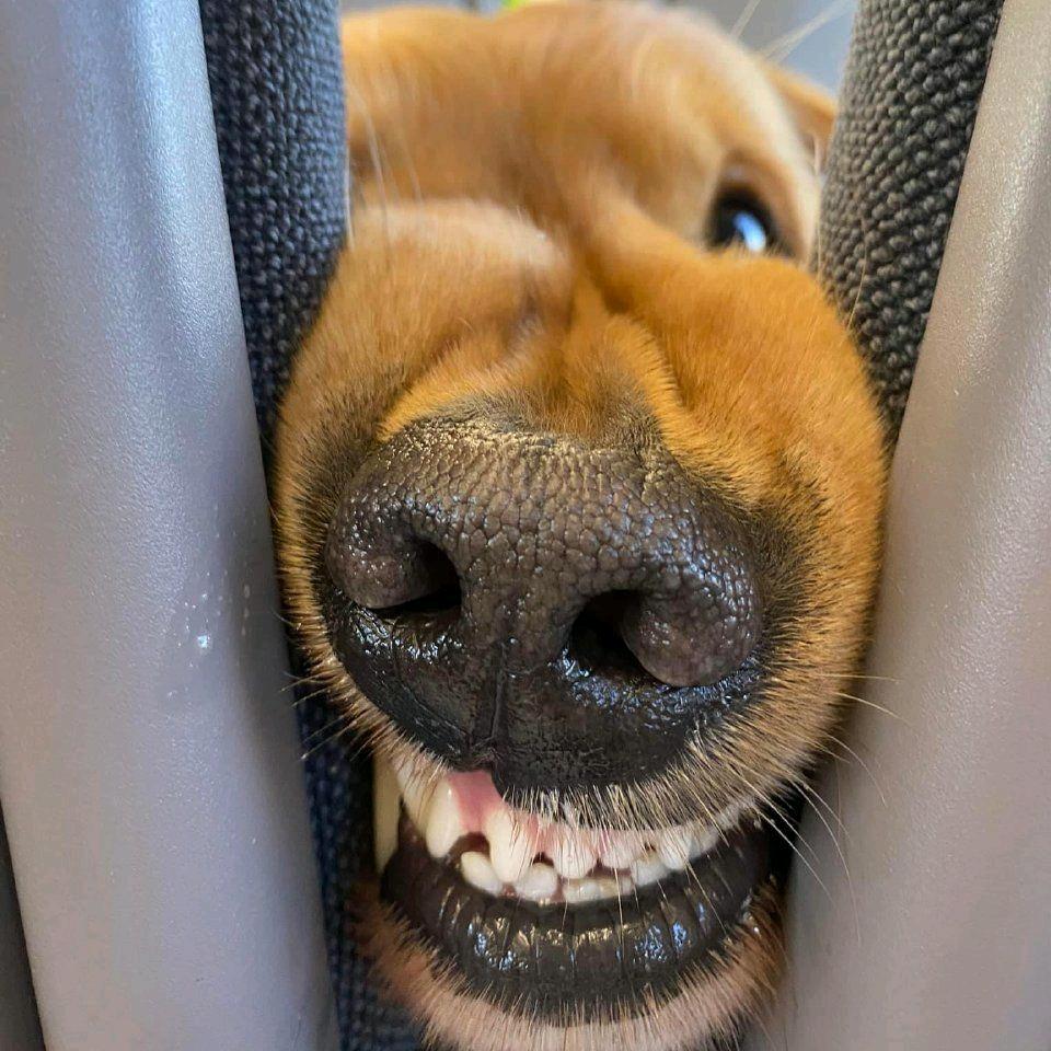 无敌神拳帮帮主