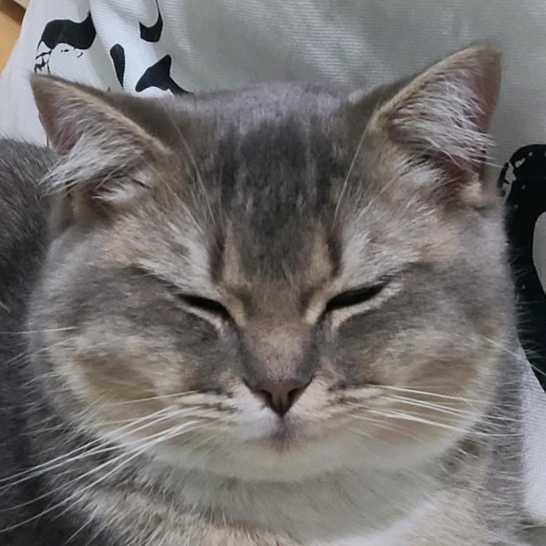 我就爱吃三文鱼