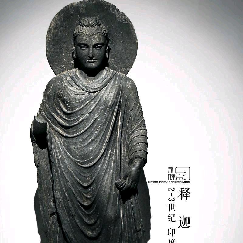 水乡泽国