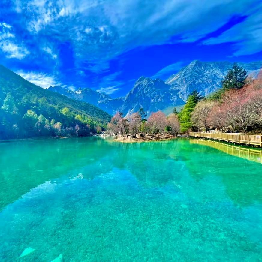 水清木华