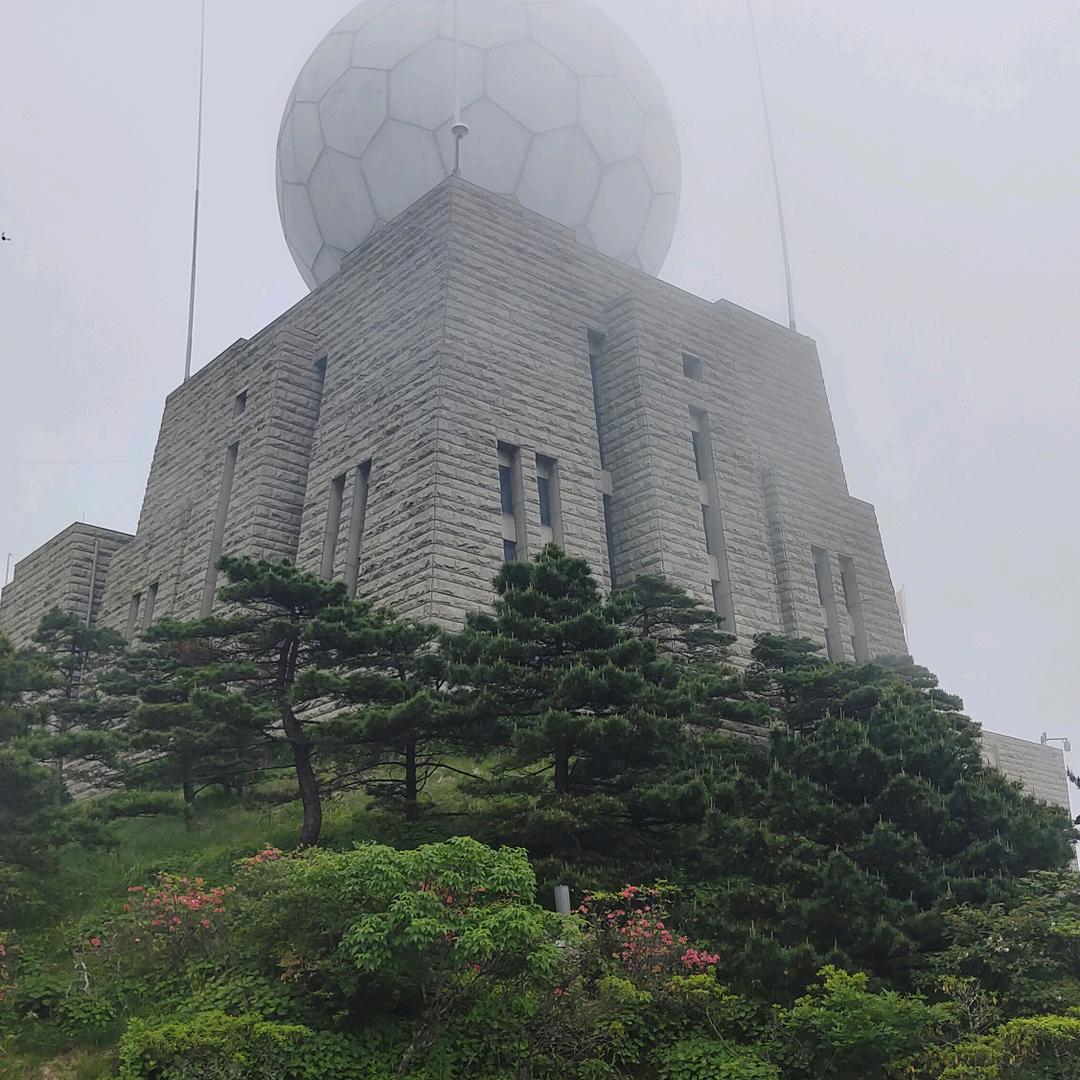 苏岱商贸