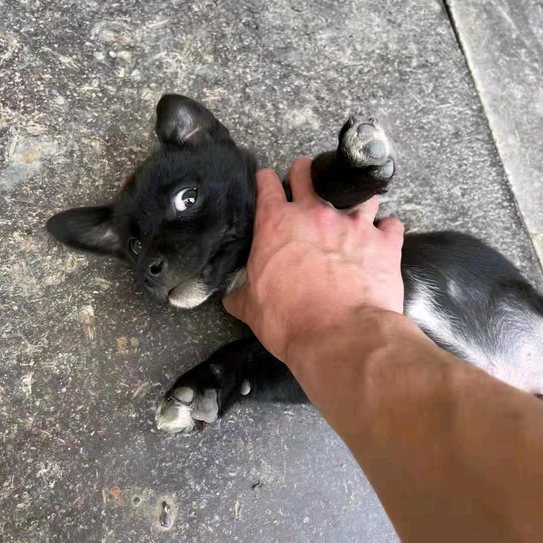 涅槃