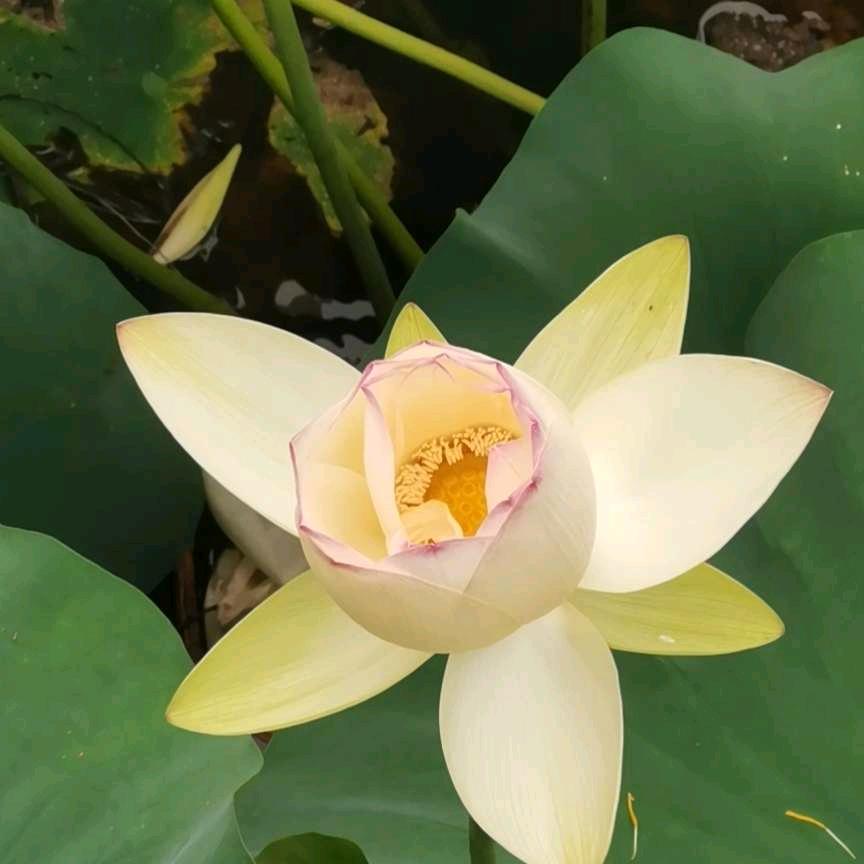 周末小馆