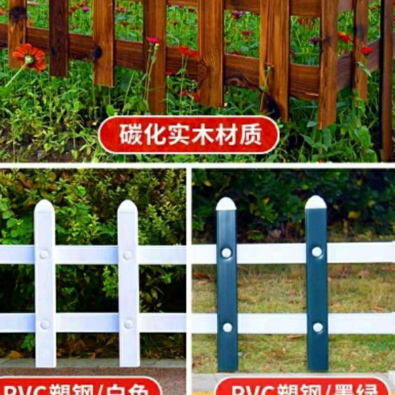 育苗园艺（晚上9点一11点直播间不见不散