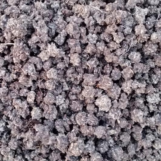 张永万众一心☆