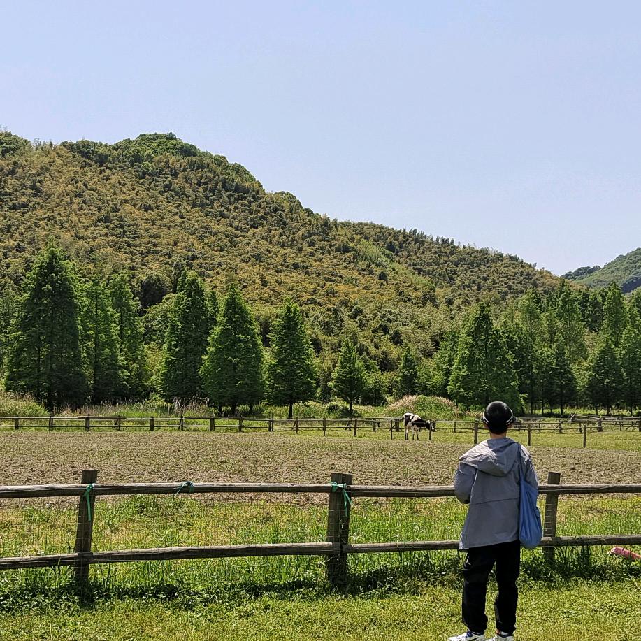 果果周