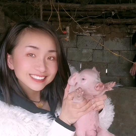 袁小妹说猪市
