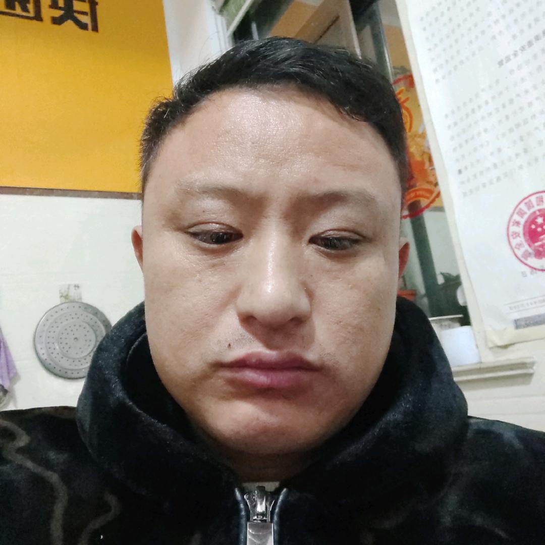 雾夜飞鹰