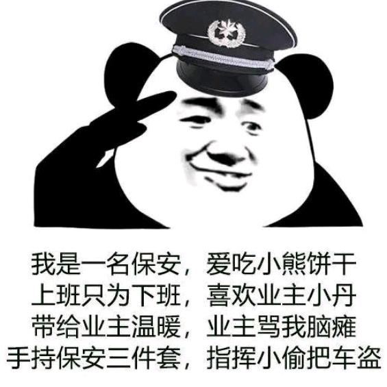 流落青岛的小熊