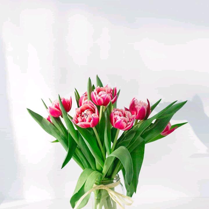 《》小酒窝《》