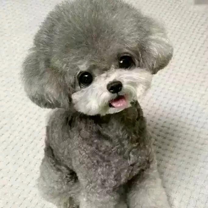 用户2628159511141净水深流