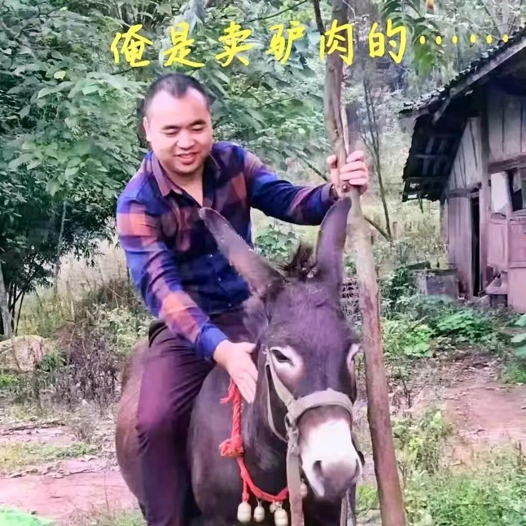 生产队一头驴