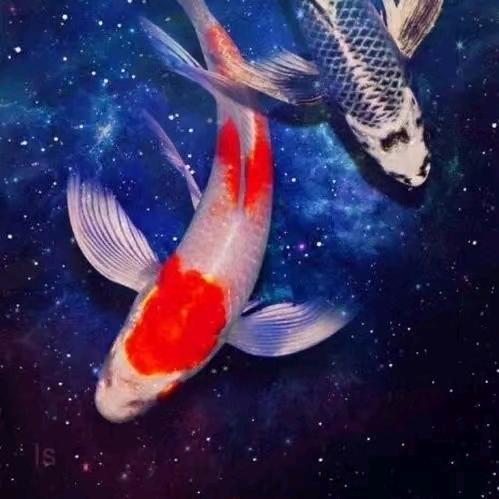 随缘就好