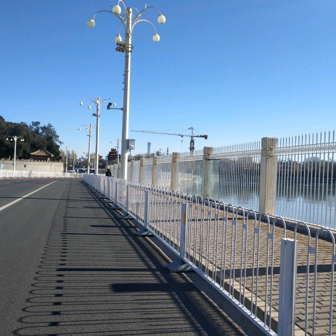 阿碧的智障香菜