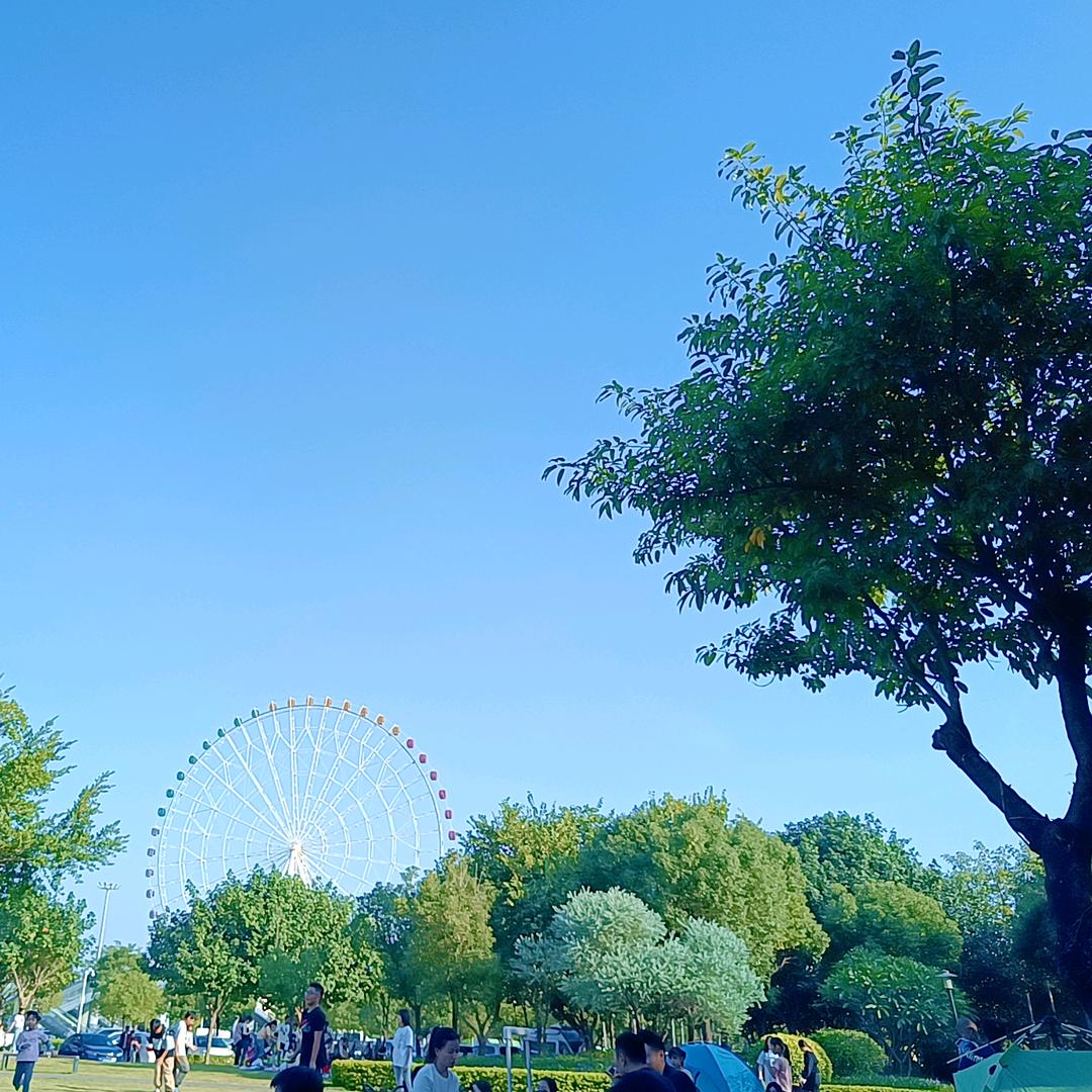 懿懿麻麻