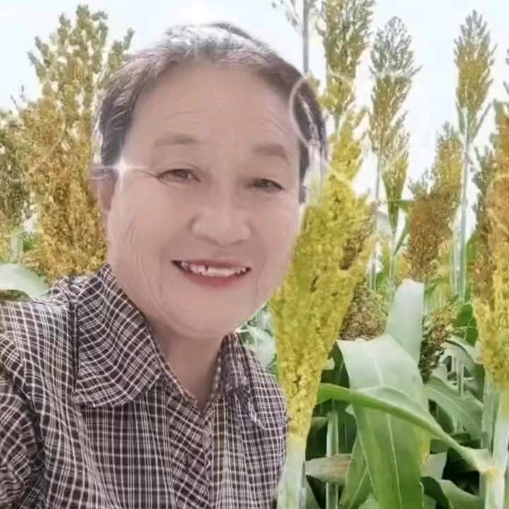 梦姐