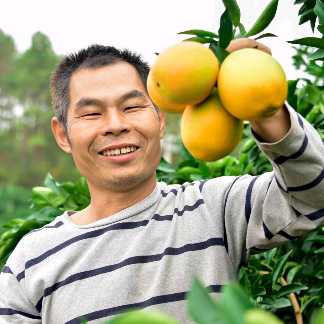 橙自然果园优品