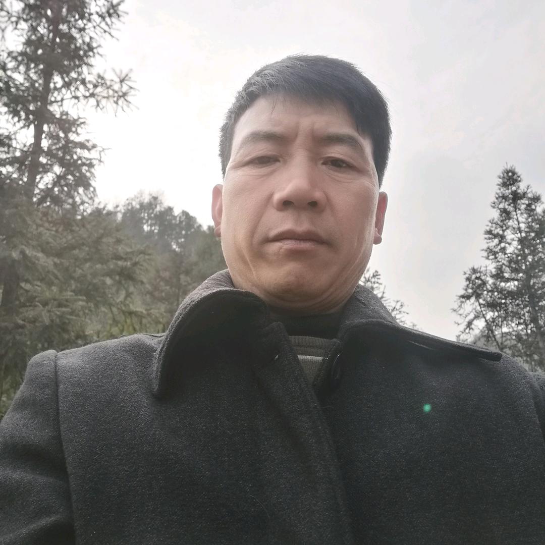 早稻田土黄牛专业养殖