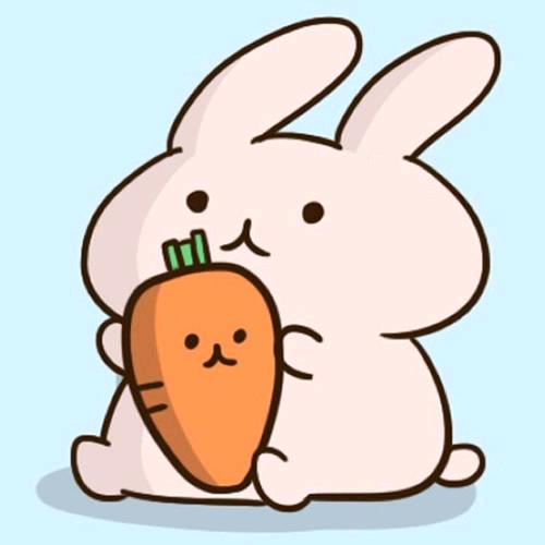 胡萝卜🥕