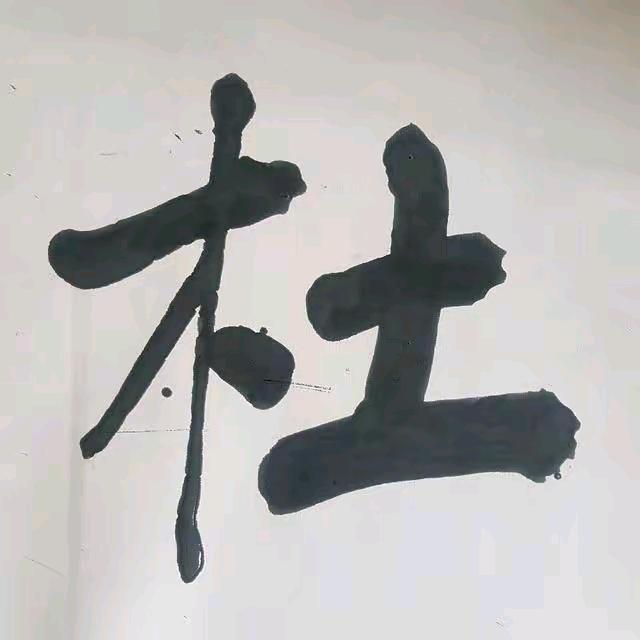 网络相见
