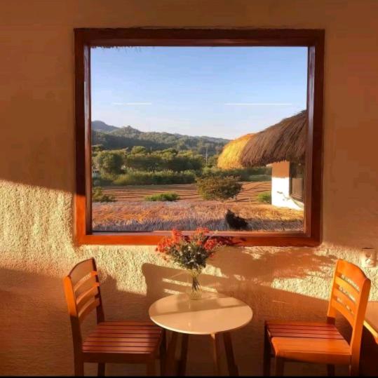 隔壁老王家南墙我经常撞