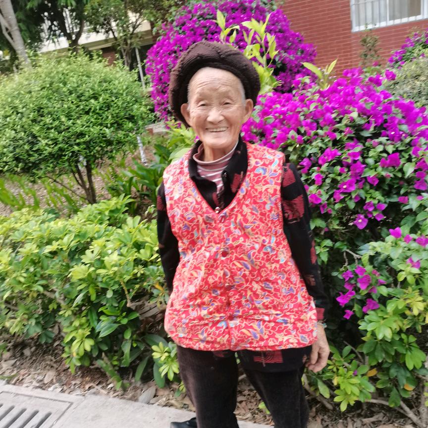 长寿之香