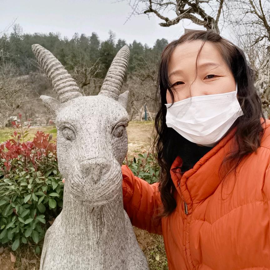 吃正宗手擀面找老胡