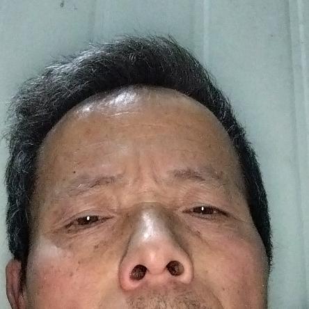 陆淸队