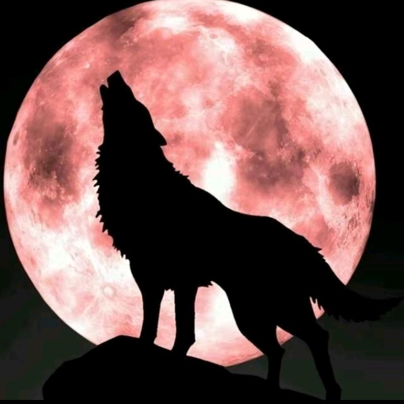 一黑一白叫黑白