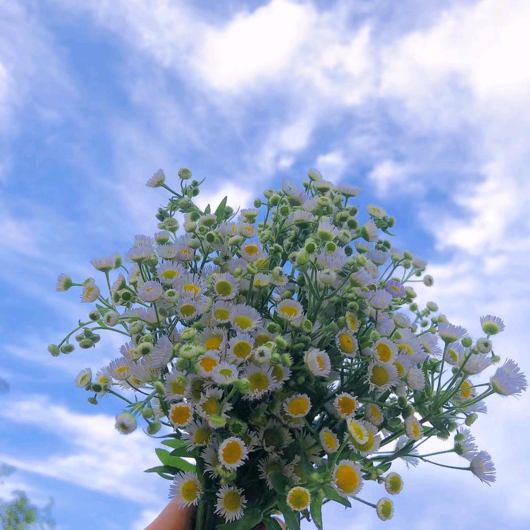 王钫(好物在厨窗)