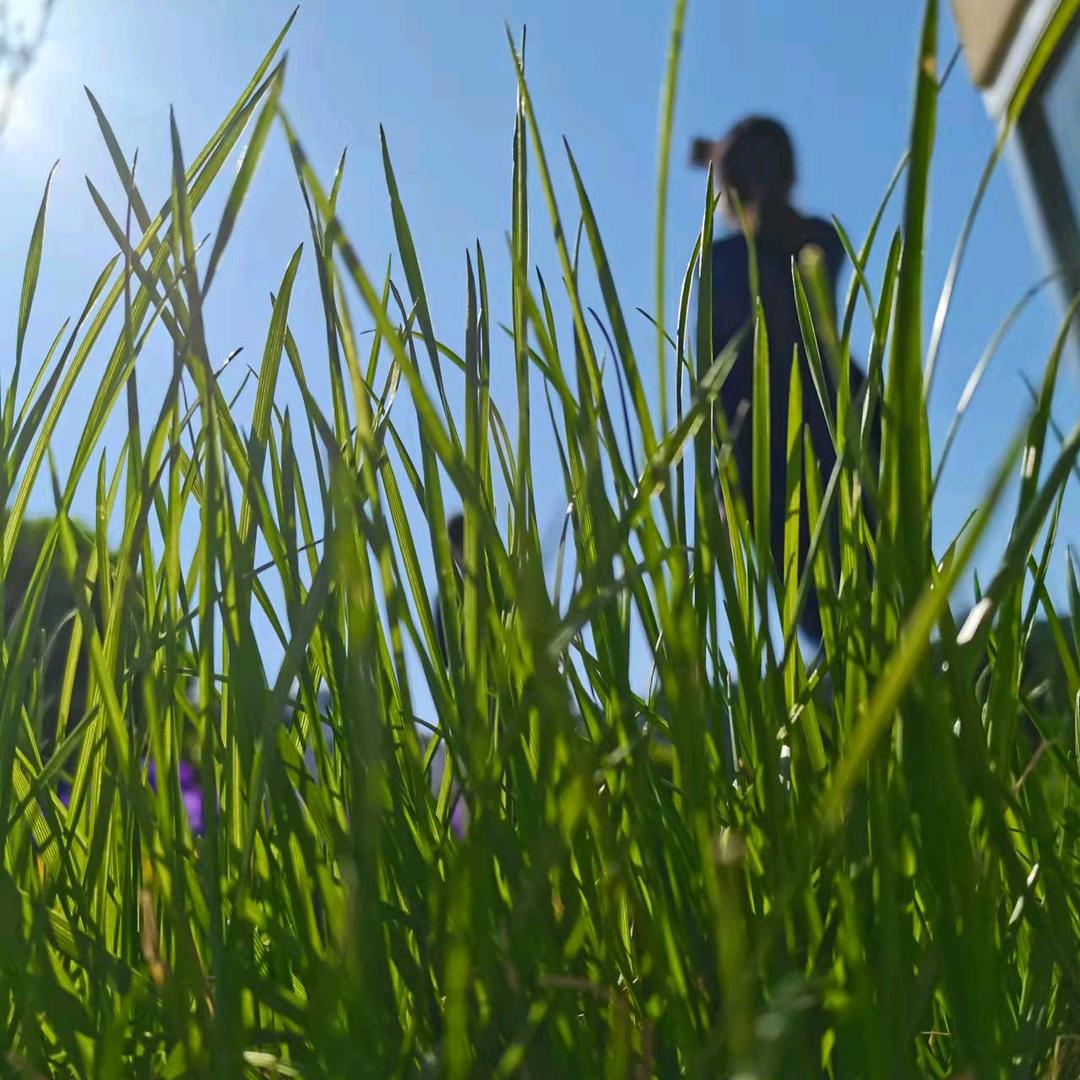 H的2次方