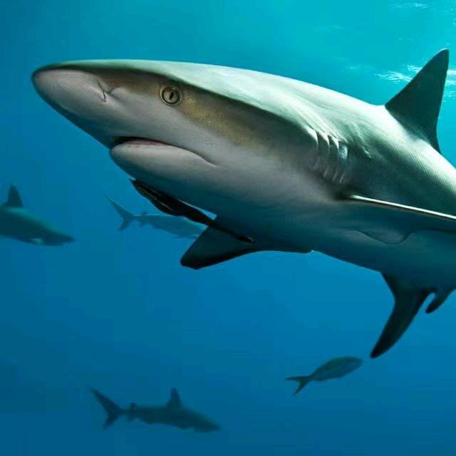 暖男楊先生@不点关注只回关。