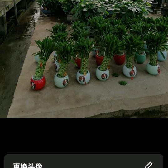 古月