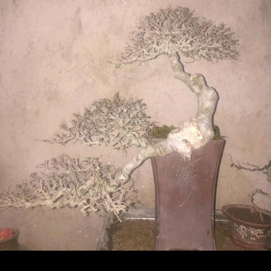 回忆时光