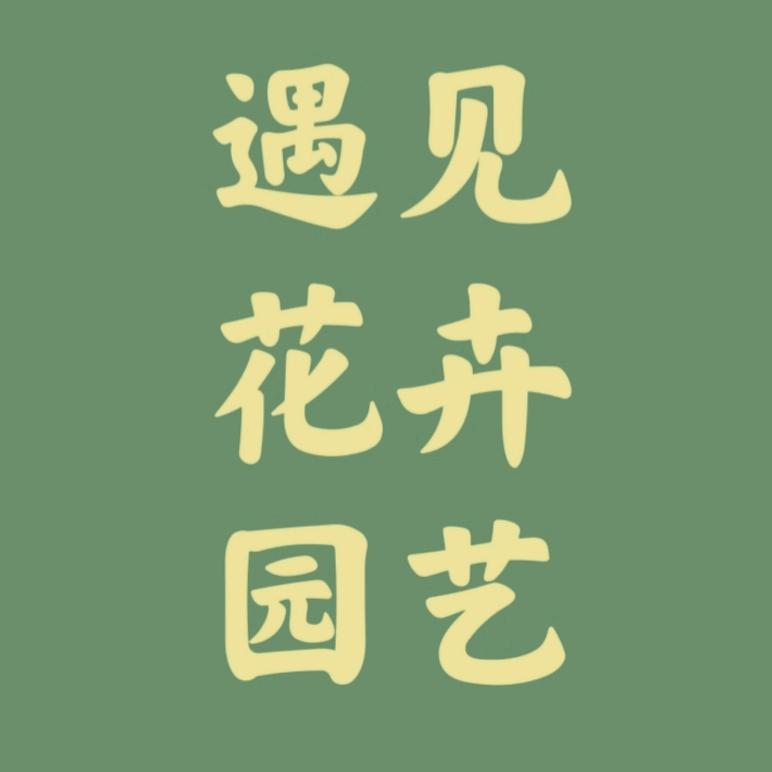 遇见花卉园艺(探春花)