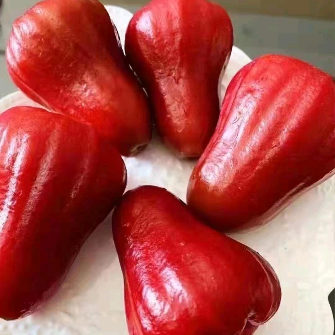 加油