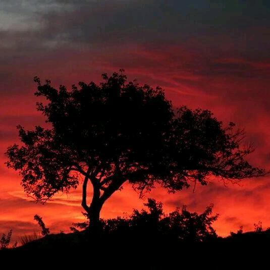 一个热衷于搞笑的游戏玩家